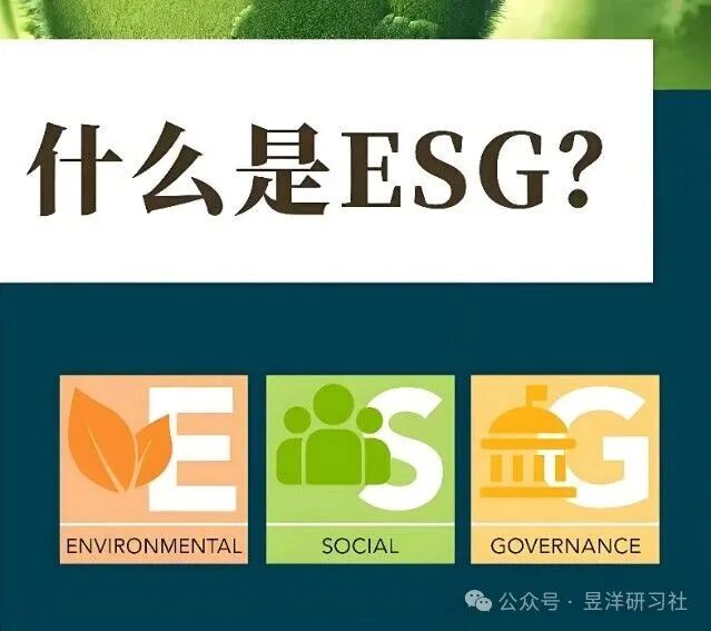 “第二张财报”已上线，读懂它的人正悄悄享受红利